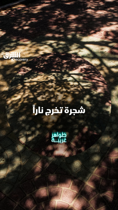 هل النار نتيجة احتراق للفحم تحت الأرض أم ماذا؟ لا...