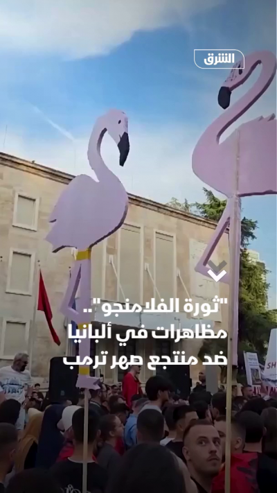 "ثورة الفلامنجو" ضد منتجع صهر ترمب