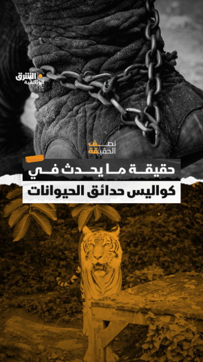 حقيقة ما يحدث خلف كواليس حدائق الحيوانات...مشاهد صادمة...