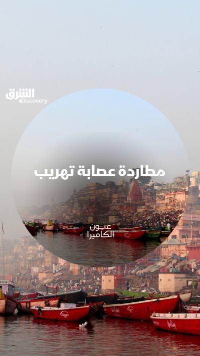 لا تفوتوا مشاهدة المزيد من المقاطع المشابهة في "عيون...