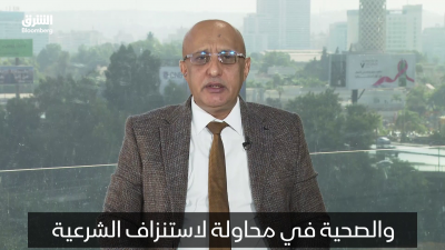 الشميري: الحوثيون يستهدفون المنشآت المدنية لاستنزاف اليمن