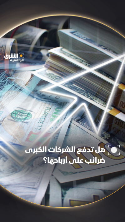 هل تدفع الشركات الكبرى الضرائب على أرباحها؟