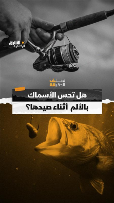 أسماك تلفظ أنفاسها الأخيرة  مثل البشر