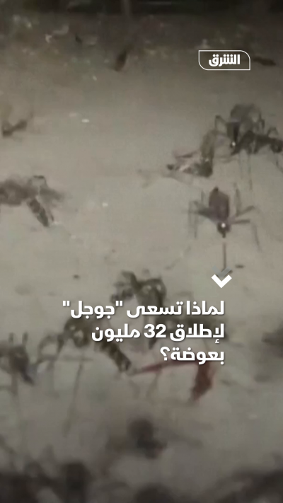 جوجل تسعى لإطلاق 32 مليون بعوضة