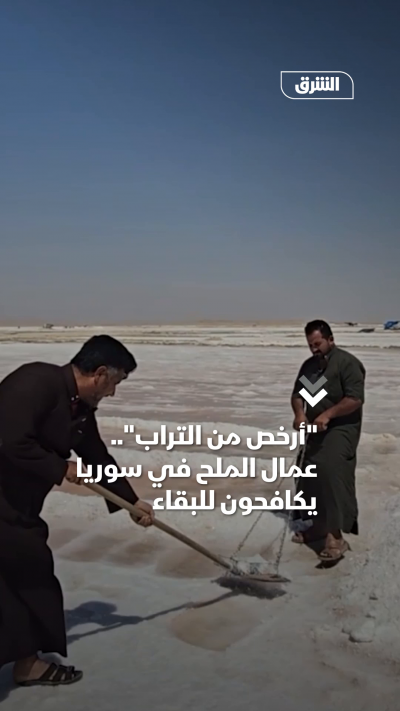 أرخص من التراب.. عمال الملح في سوريا يكافحون للبقاء