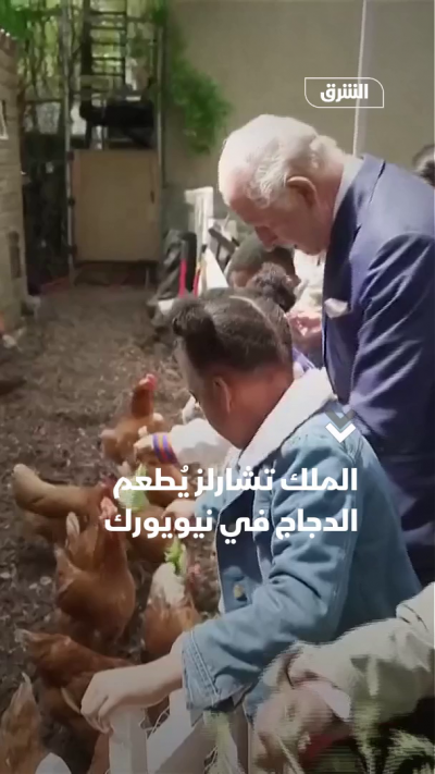 الملك تشارلز يُطعم الدجاج في نيويورك