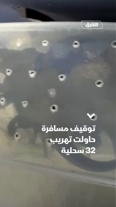 توقيف مسافرة حاولت تهريب 32 سحلية