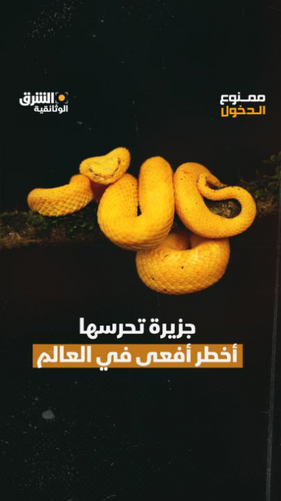 قصة "جزيرة الثعابين" على الشرق الوثائقية
