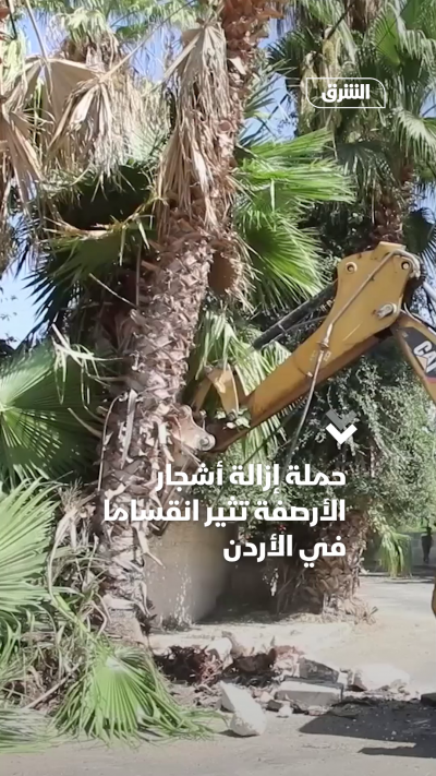 حملة إزالة أشجار الأرصفة تثير انقساما في الأردن