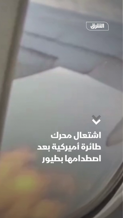اشتعال محرك طائرة أميركية بعد اصطدامها بطيور