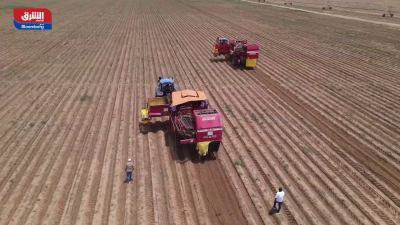 استثمارات ضخمة في قطاع الزراعة بالسعودية