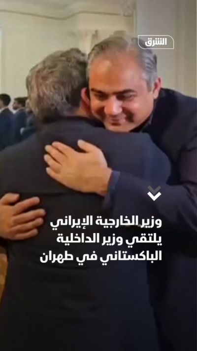 وزير الخارجية الإيراني يلتقي وزير الداخلية الباكستاني في طهران
