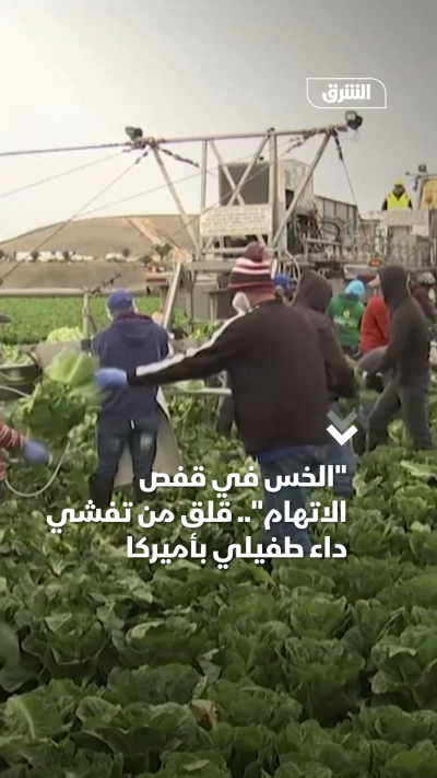 "الخس في قفص الاتهام".. قلق من تفشي داء طفيلي بأميركا