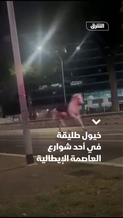 خيول طليقة في روما والشرطة تتدخل
