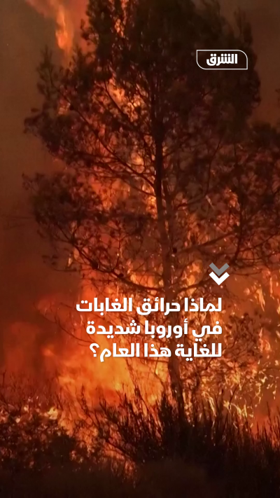 لماذا حرائق الغابات في أوروبا شديدة للغاية هذا العام؟