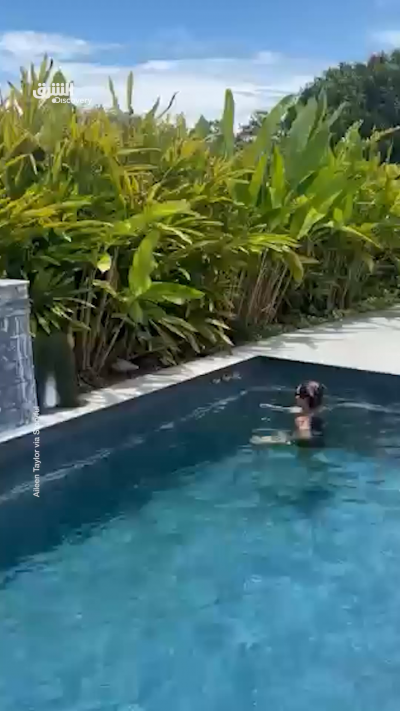 اقتربت بنيّة المساعدة… فهاجمها البط دفاعًا عن فراخه.