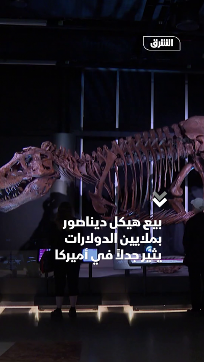 بيع هيكل عظمي لتيرانوصور ريكس بملايين الدولارات