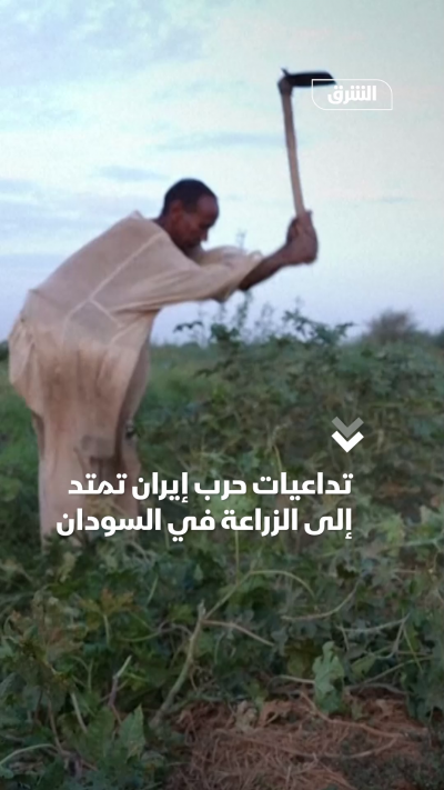 تداعيات حرب إيران تمتد إلى الزراعة في السودان