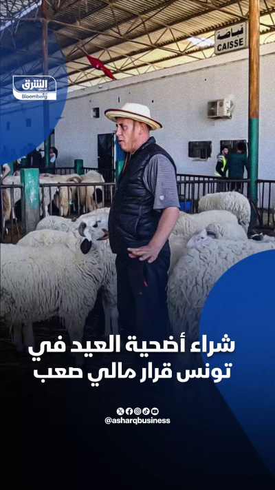 شراء أضحية العيد في تونس قرار مالي صعب