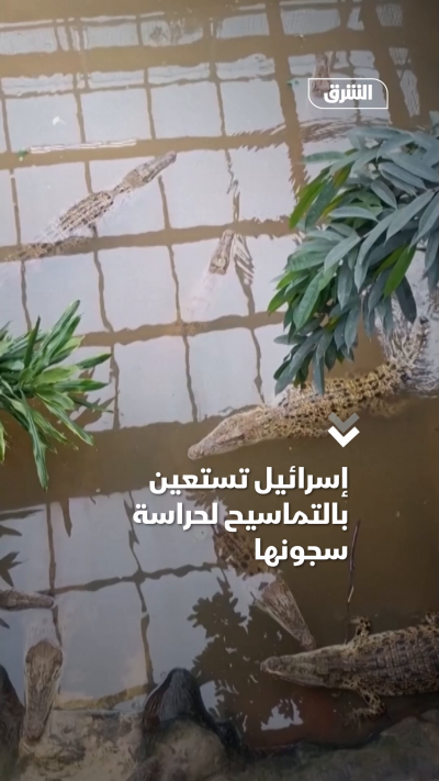 إسرائيل تستعين بالتماسيح لحراسة سجونها