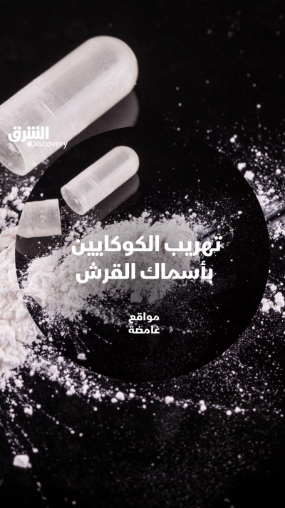 ما علاقة تهريب الكوكايين بهذه الصور؟ لا تفوّتوا مشاهدة...