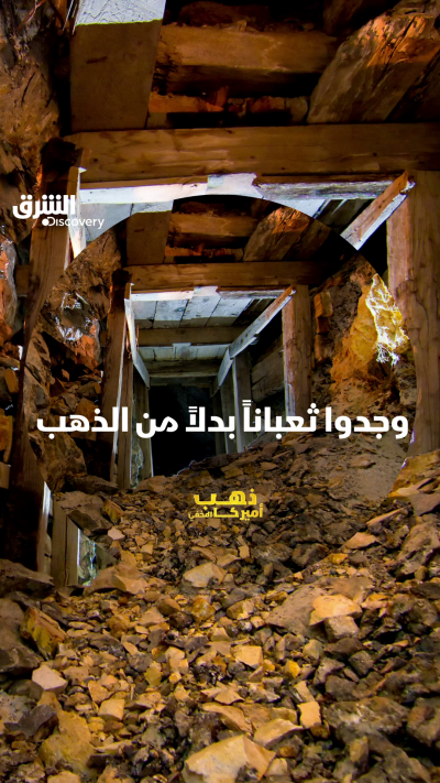 هل هي صدفة أم وجودها له معنى آخر؟ شاهدوا "ذهب أميركا...