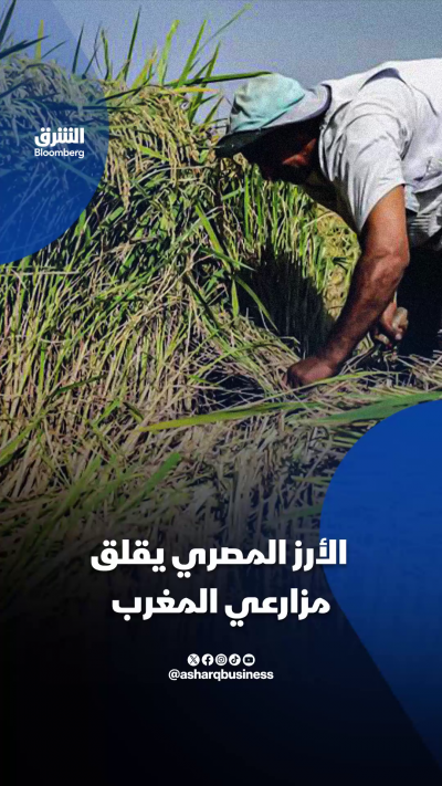أرز مصر يقلق مزارعي المغرب.. ما الأسباب؟
🔴 تابعوا الشرق بلومبرغ للمزيد
