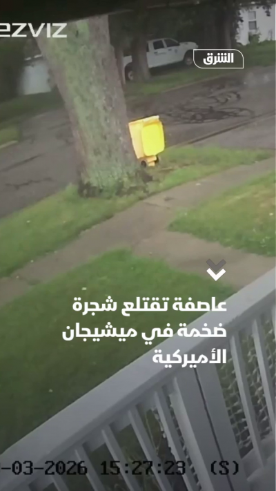 عاصفة تقتلع شجرة ضخمة في ميشيجان الأميركية