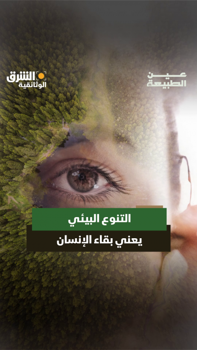 خبير يوضح: "إذا لا يوجد تنوع أحيائي، لا يوجد إنسان"...