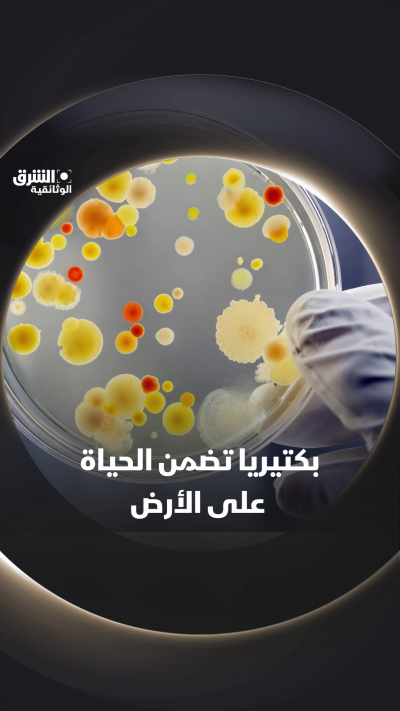 ساعدت البكتيريا الزرقاء في توفير الحياة على هذه الأرض،...