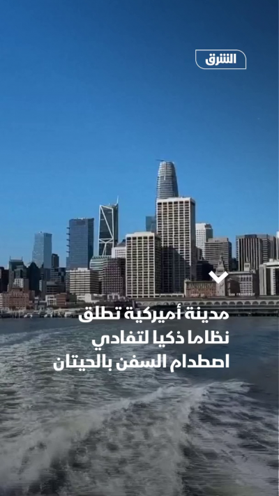 أميركا.. نظام ذكي لتفادي اصطدام السفن بالحيتان