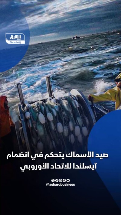 صيد الأسماك يتحكم في انضمام آيسلندا للاتحاد الأوروبي