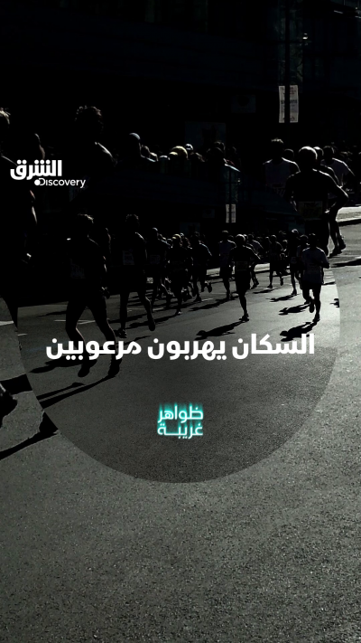 زلزال مدمر ولون أزرق يخرج من الأرض للسماء، ما الذي...